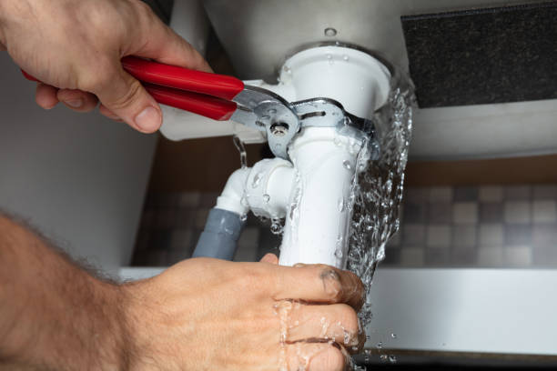 Best Mold removal after water damage  in Crab Orchard, WV