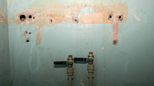 Best 24/7 water damage repair  in Crab Orchard, WV
