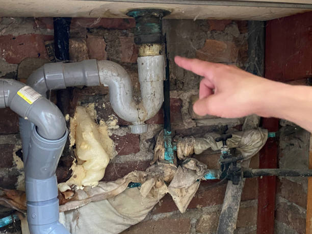 Best Basement water damage restoration  in Crab Orchard, WV