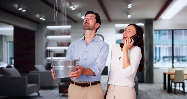 Best Carpet water damage restoration  in Crab Orchard, WV