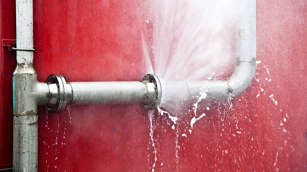 Best Water damage restoration near me  in Crab Orchard, WV